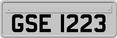 GSE1223