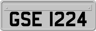 GSE1224