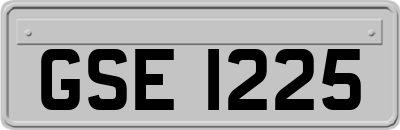 GSE1225