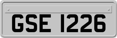 GSE1226