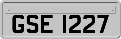 GSE1227