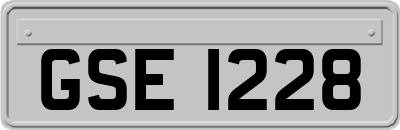 GSE1228