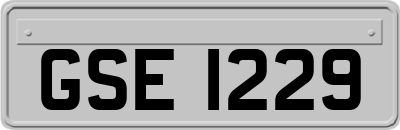 GSE1229