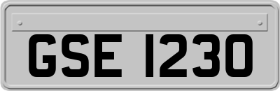 GSE1230