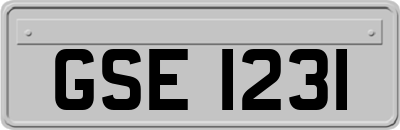 GSE1231