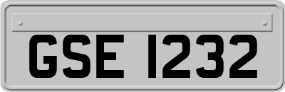 GSE1232