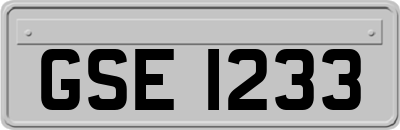GSE1233