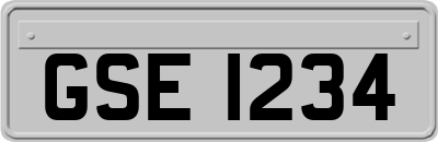 GSE1234