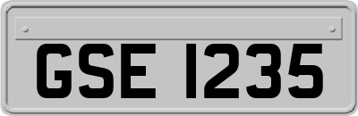 GSE1235