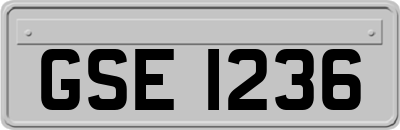 GSE1236