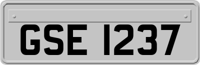 GSE1237