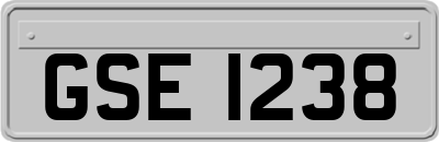 GSE1238