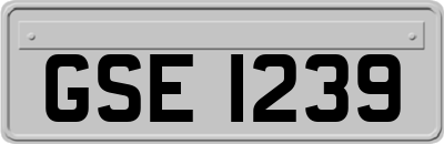 GSE1239