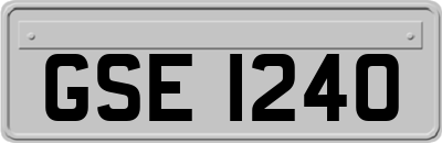 GSE1240