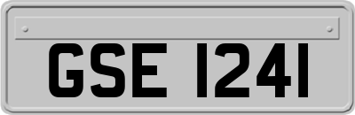 GSE1241