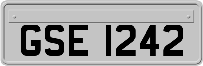GSE1242