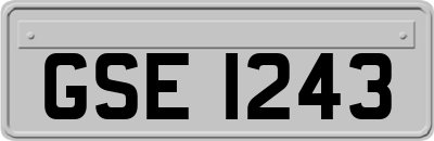 GSE1243
