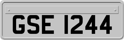 GSE1244