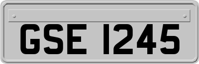 GSE1245