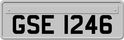 GSE1246