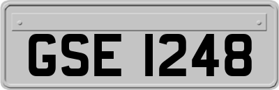 GSE1248
