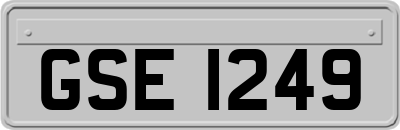 GSE1249