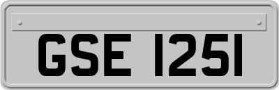 GSE1251