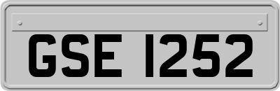 GSE1252