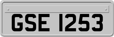 GSE1253