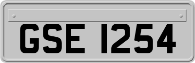 GSE1254