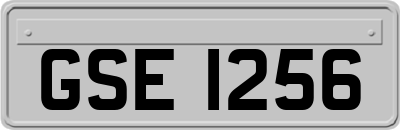 GSE1256