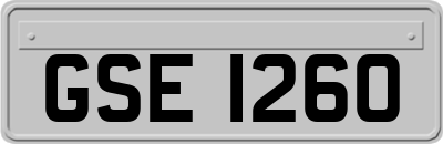 GSE1260