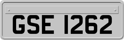 GSE1262