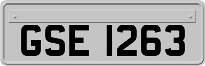 GSE1263
