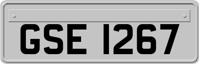 GSE1267