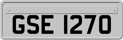 GSE1270