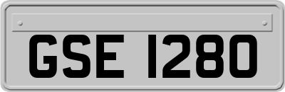 GSE1280