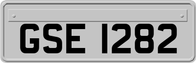 GSE1282