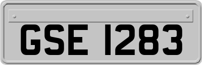 GSE1283