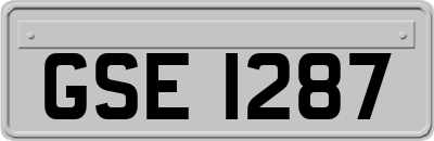 GSE1287