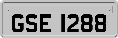 GSE1288
