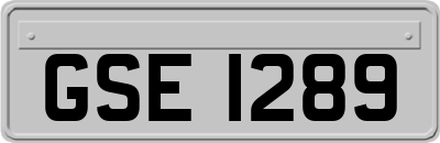 GSE1289