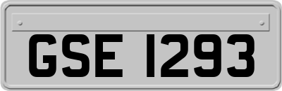 GSE1293