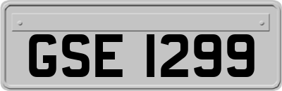 GSE1299