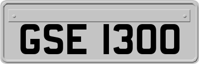 GSE1300