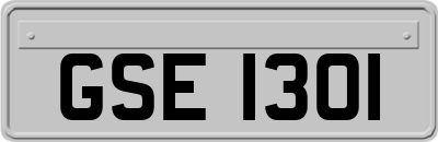 GSE1301