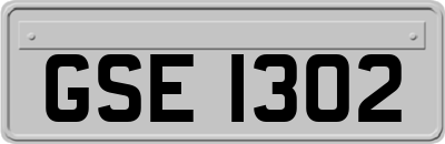 GSE1302