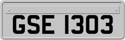 GSE1303