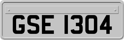 GSE1304