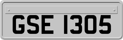 GSE1305